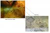 Click image for larger version

Name:	book_mybass_compare_small.jpg
Views:	1760
Size:	128.8 KB
ID:	2472