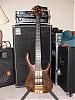 Click image for larger version

Name:	Smith BSR5TN Black Tiger 5-String Bass - XGrade Crotch Walnut - 2001.jpg
Views:	1078
Size:	349.0 KB
ID:	108