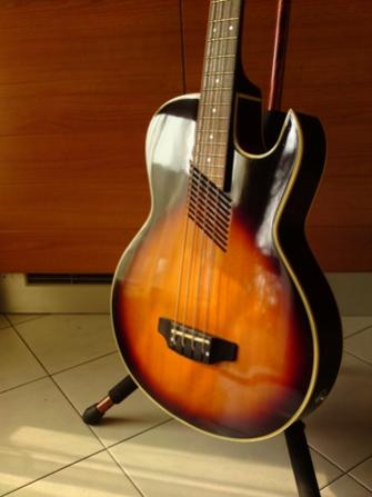 Washburn AB20  ts