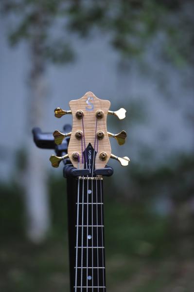 BSR6GN Headstock