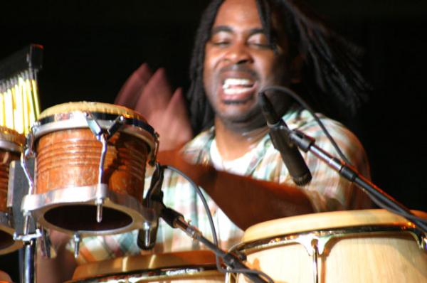 Steve Perkins - Percussion